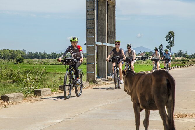 Hoi An Morning Countryside Tour by Bike - Key points to know before you book