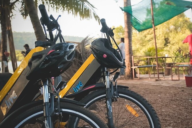 Island Hopping: Day E-Bike Exploration - Crossing to Vanxim for a different kind of Goa