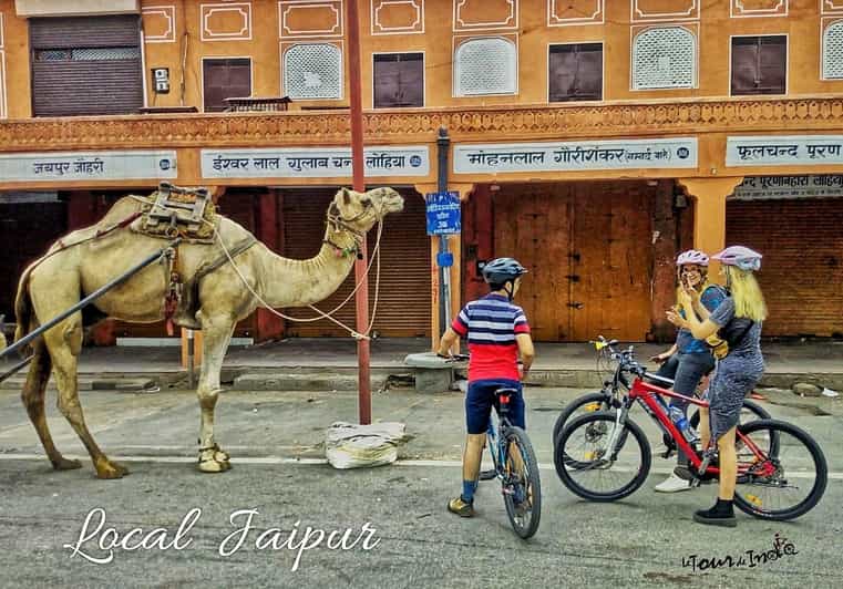 Jaipur: 3-Hour Morning Bike Tour of Jaipur Old City - Key points at a glance