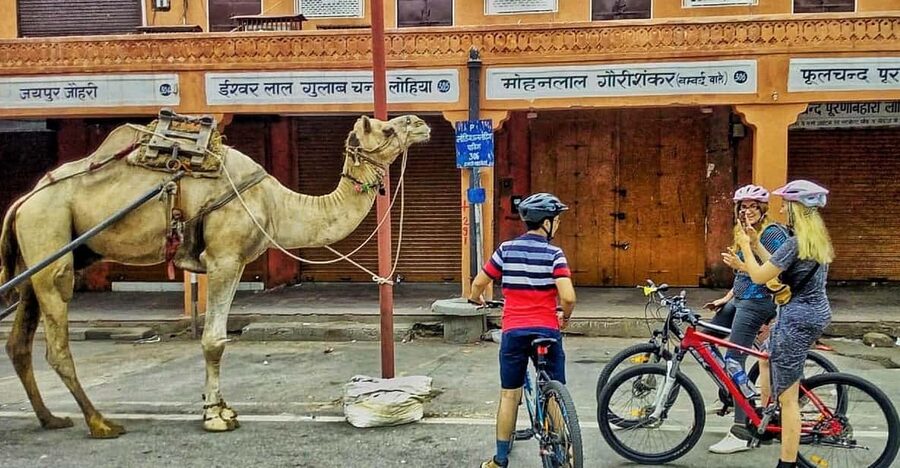 Jaipur: 3-Hour Morning Bike Tour of Jaipur Old City - Albert Hall and the city waking up