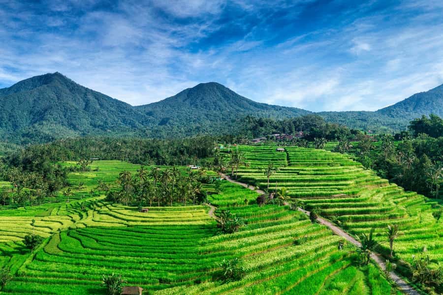 Jatiluwih (UNESCO Site) 2-Hour E-Bike Cycling Tour - Key Points Before You Book