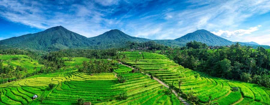 Jatiluwih (UNESCO Site) 2-Hour E-Bike Cycling Tour - Should You Book the Jatiluwih E-Bike Tour?