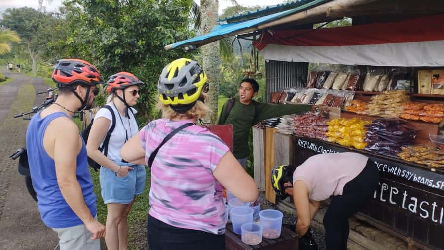 Jatiluwih (UNESCO Site) 2-Hour E-Bike Cycling Tour - Starting Near Batukaru Temple