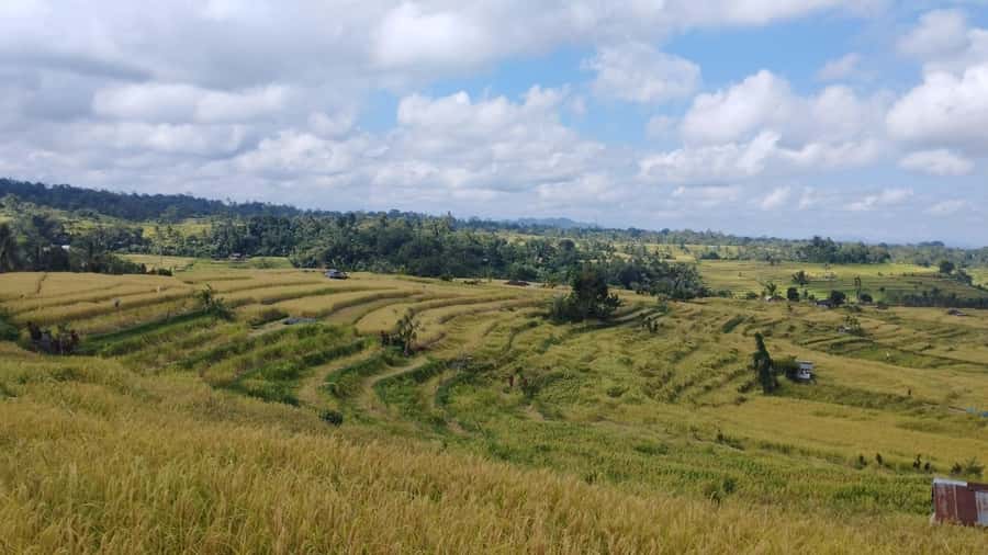 Jatiluwih (UNESCO Site) 2-Hour E-Bike Cycling Tour - How Much Cycling Will You Actually Do?