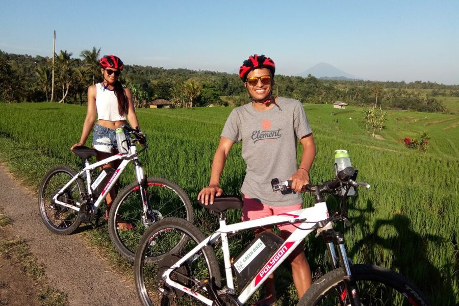 Jatiluwih (UNESCO Site) 2-Hour E-Bike Cycling Tour - What I Would Confirm Before Departure