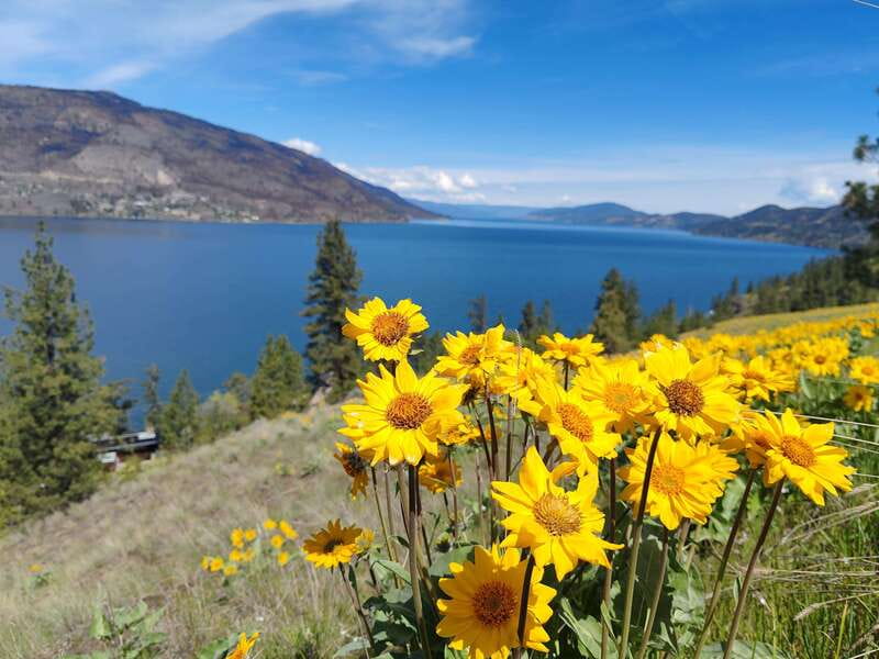 Kelowna: E-Bike Rental with In-App Navigation Guide - The riding experience and equipment