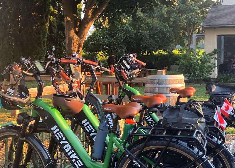 Kelowna: Wine Tasting by E-bike, Smartphone Guide & Lunch - What to bring and who should skip it