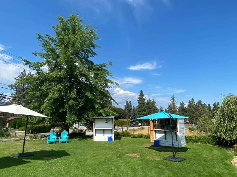 Kelowna: Wine Tasting by E-bike, Smartphone Guide & Lunch - Hidden Vines Family Estate Winery