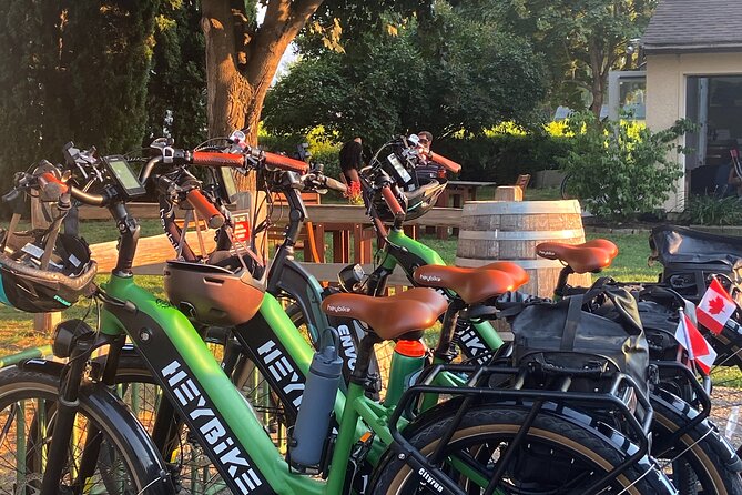 Kelowna Wine Tour by E-bike, Okanagan Valley Views and Lunch - Riding south past Gyro Beach