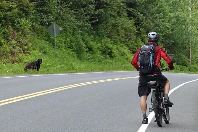 Ketchikan Electric Bike and Rain Forest Hike Ecotour - Why this combination works in Ketchikan