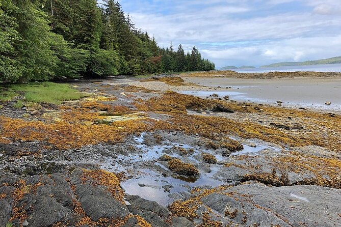 Ketchikan Electric Bike and Rain Forest Hike Ecotour - The Tongass forest hike is the real reward