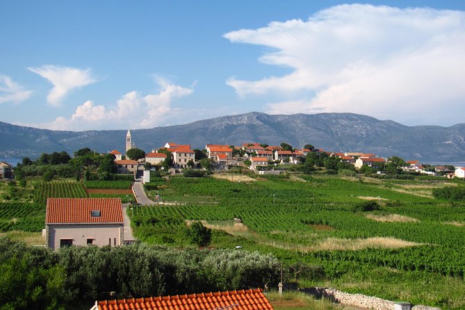 Korcula Bike & Wine Tour | Wine Tasting in Lumbarda - Who should book this afternoon?
