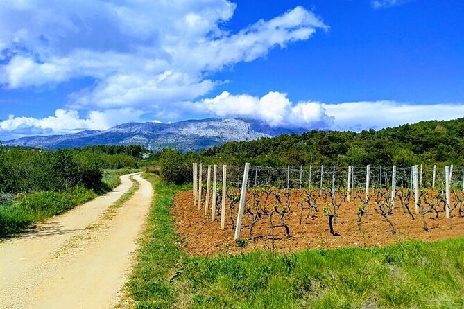 Korcula Bike & Wine Tour | Wine Tasting in Lumbarda - Meeting at Plokata Square