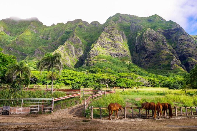 Kualoa Ranch: Novice E-Bike - The key things to know before you book