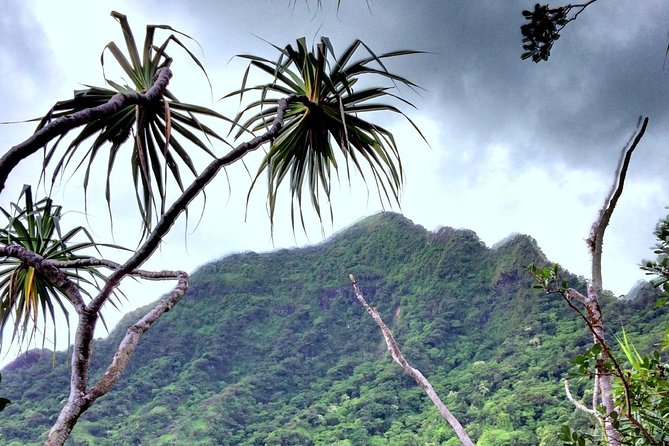 Kualoa Ranch: Novice E-Bike - Six miles through Kualoa and Kaaawa valleys