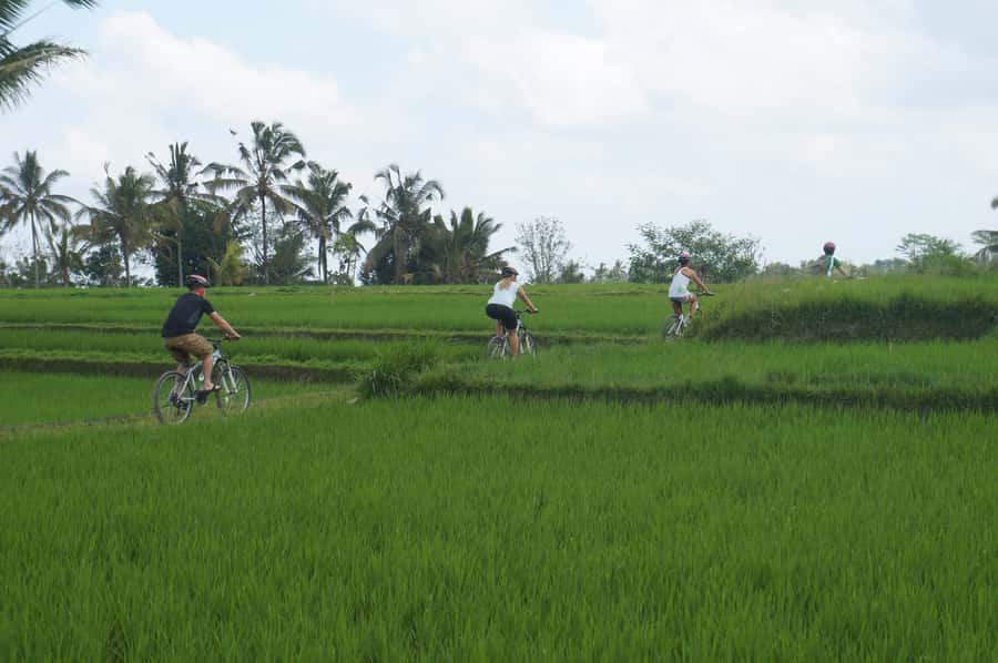 Kuta: Kintamani Culture and Nature Guided Cycling Tour - The Balinese House Visit