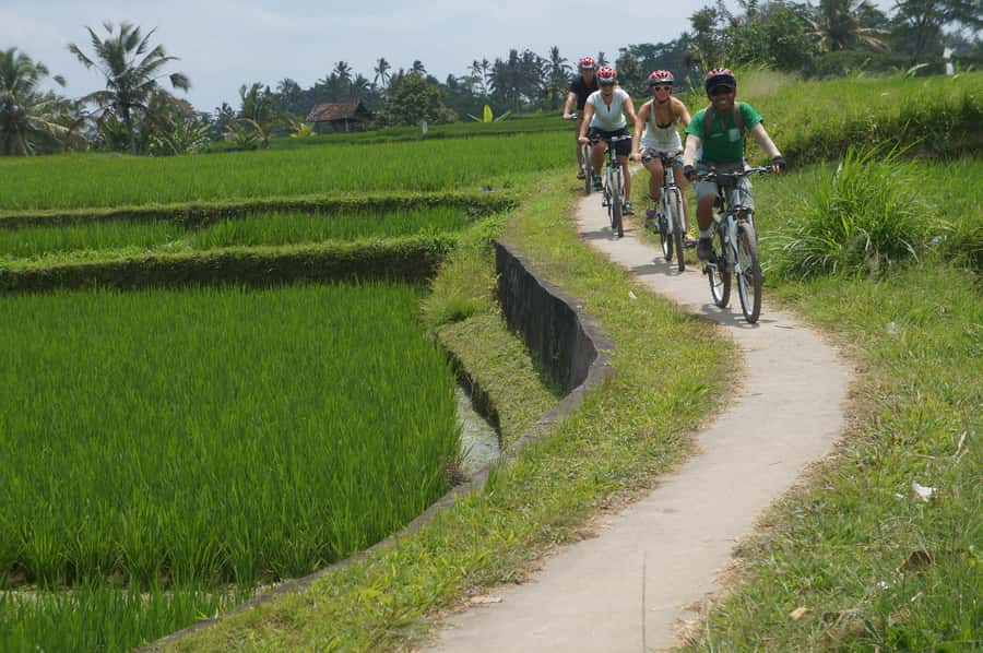 Kuta: Kintamani Culture and Nature Guided Cycling Tour - Rice Fields Around Bresela Village