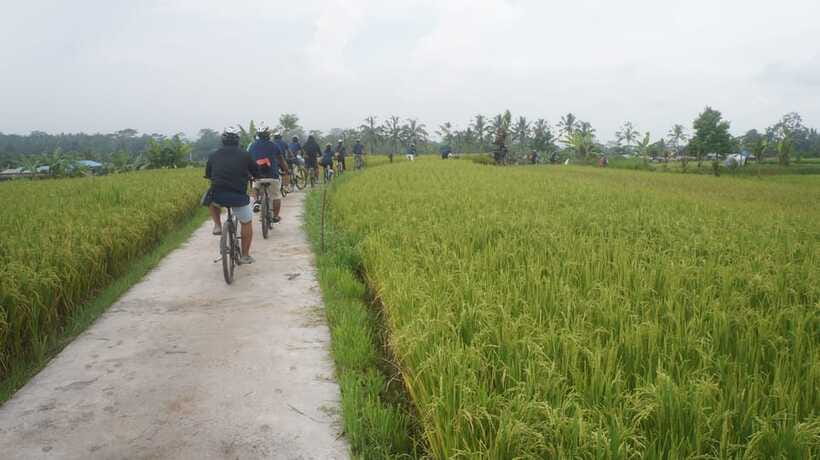 Kuta: Kintamani Culture and Nature Guided Cycling Tour - Who Will Enjoy This Bali Cycling Tour?