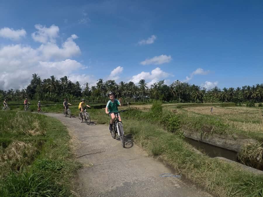 Kuta: Kintamani Culture and Nature Guided Cycling Tour - Coffee Under the Palm Trees