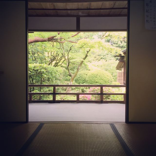 Kyoto: City Secrets eBike Tour - Why an eBike is a smart way to see Kyoto