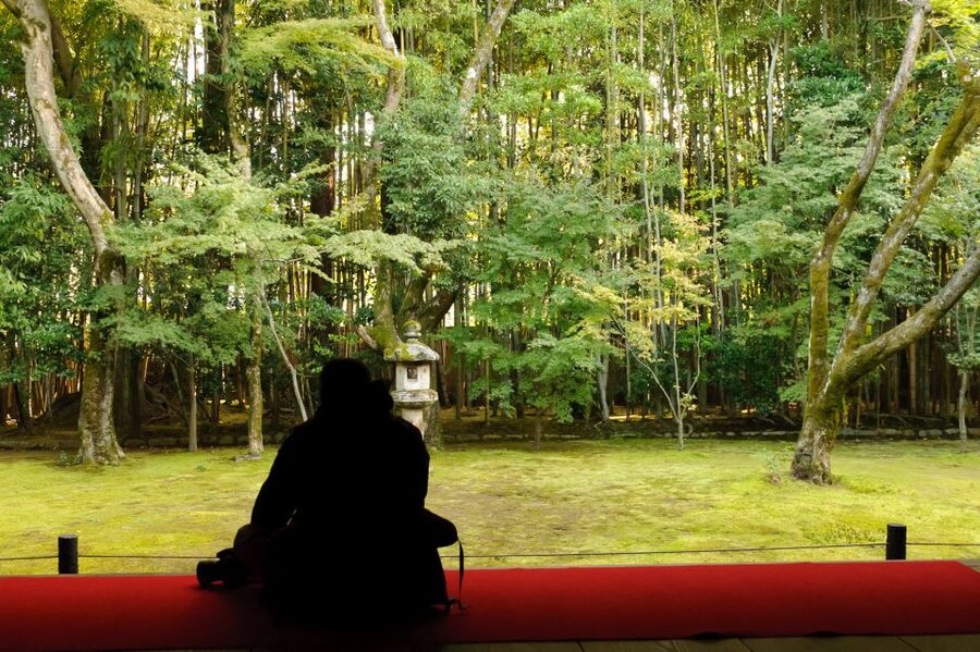 Kyoto: City Secrets eBike Tour - Mountain roads, streams, tea, and old food traditions