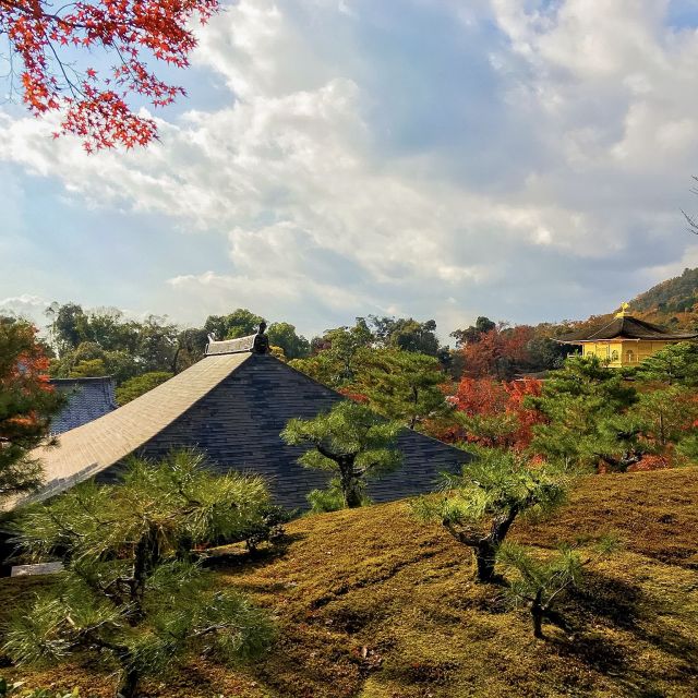 Kyoto: City Secrets eBike Tour - Is the $127 price fair?