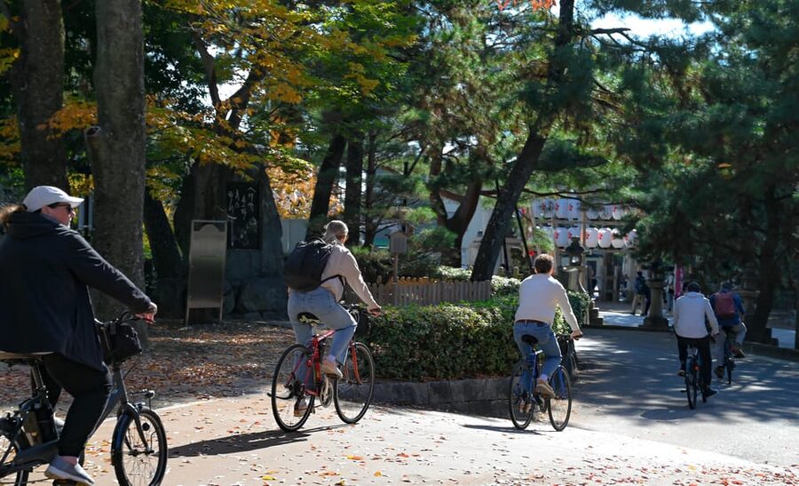 Kyoto: Full Day Bike Tour - Kitano Tenmangu and the Golden Pavilion
