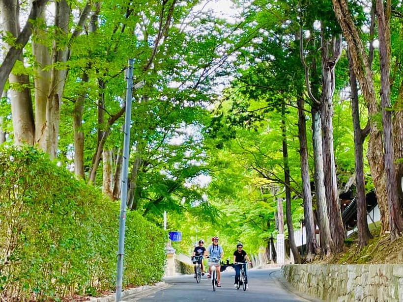 Kyoto: Fushimi Inari Shrine and Tofukuji Temple E-Bike Tour - Why this Kyoto bike tour works so well