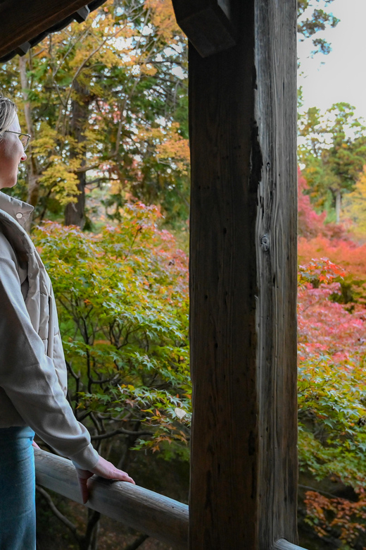 Kyoto: Half-day Guided Bike Tour with Fushimi Inari - The guides make the difference