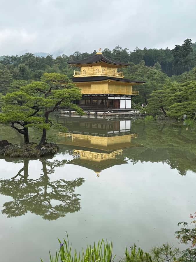 Kyoto: Memory Kyoto E-Bike Tour - Who will get the most from this Kyoto ride