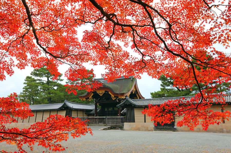 Kyoto: Tailored E-Bike Tour to Highlights & Hidden Gems - Should you book this Kyoto e-bike tour?