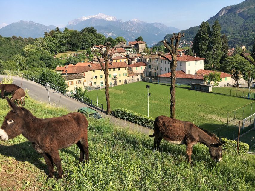 Lake Como to Lake Lugano: E-Bike Three Panoramic Lakes - Why this route shows you more than Lake Como