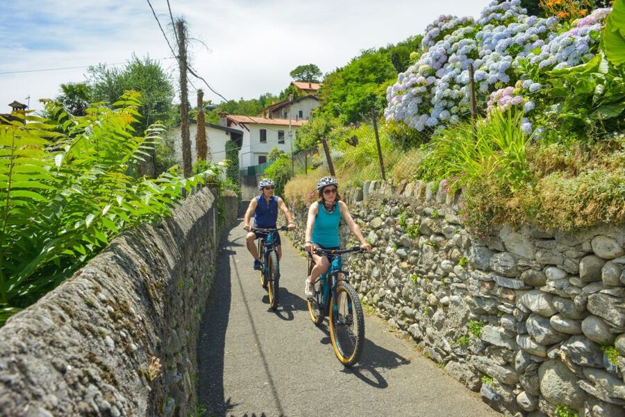 Lake Como to Lake Lugano: E-Bike Three Panoramic Lakes - Lake Piano nature reserve and the old railway cycle path
