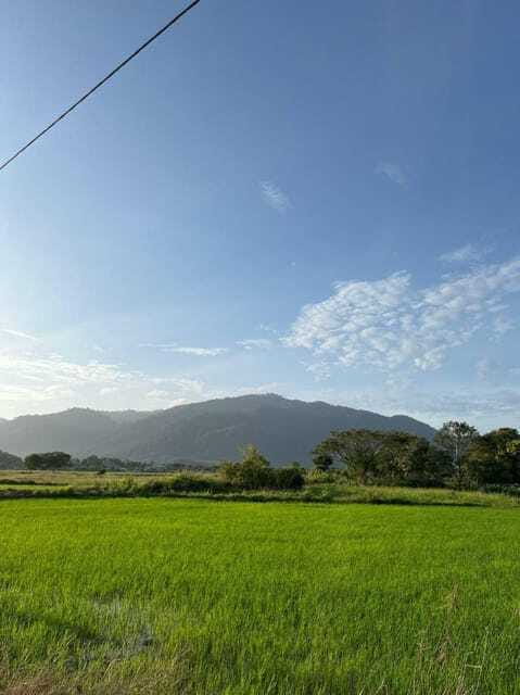 Langkawi: Countryside Bike Tour, Waterfall Swim & Dessert - Small group size and guide quality