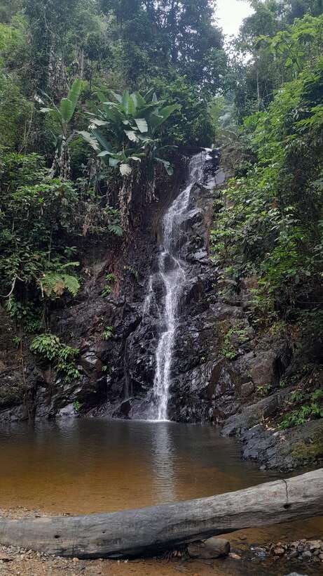 Langkawi: Countryside Bike Tour, Waterfall Swim & Dessert - Starting from JungleWalla’s office at 4pm