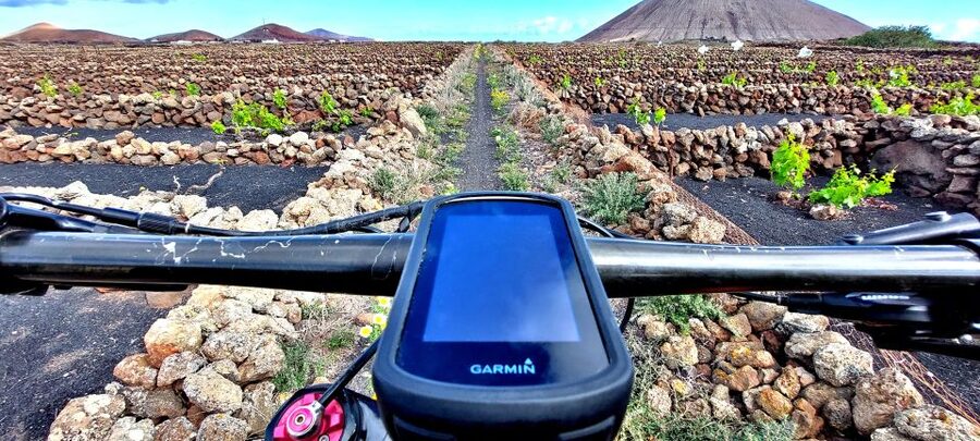 Lanzarote E-Bike Tour: Volcano Craters & Scenic Vineyards - What the $146 price includes