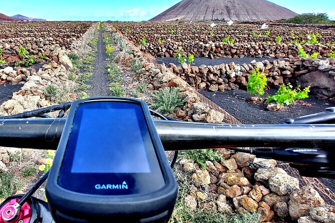 Lanzarote E-Bike Tour: Volcano Craters & Scenic Vineyards - Starting with the bike and finding your pace