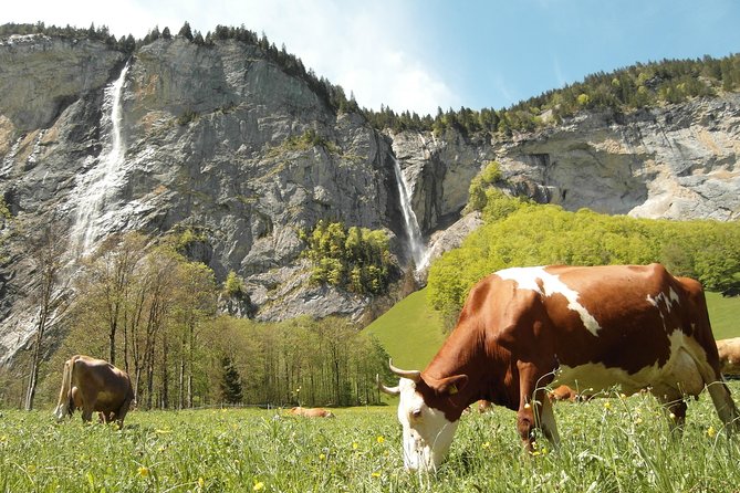 Lauterbrunnen Valley Waterfalls E-bike Tour with Swiss Picnic - Staubbach Waterfall and the postcard view