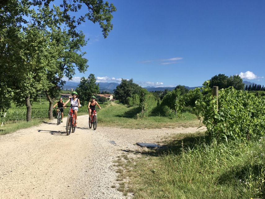 Lazise: Bike Tour and Wine Tasting - What the e-bikes are like in practice