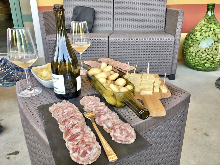 Lazise: Bike Tour and Wine Tasting - Who will enjoy this ride most?