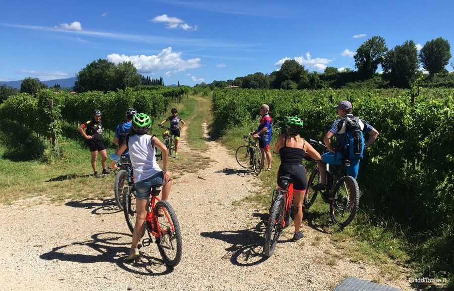 Lazise: Bike Tour and Wine Tasting - About two hours among vines and olive trees