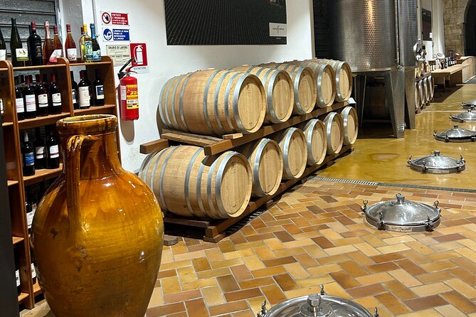 Lecce to Galatina E-Bike: Olive Mill & Wine Tasting + Taxi back - Santa Caterina’s frescoes in Galatina