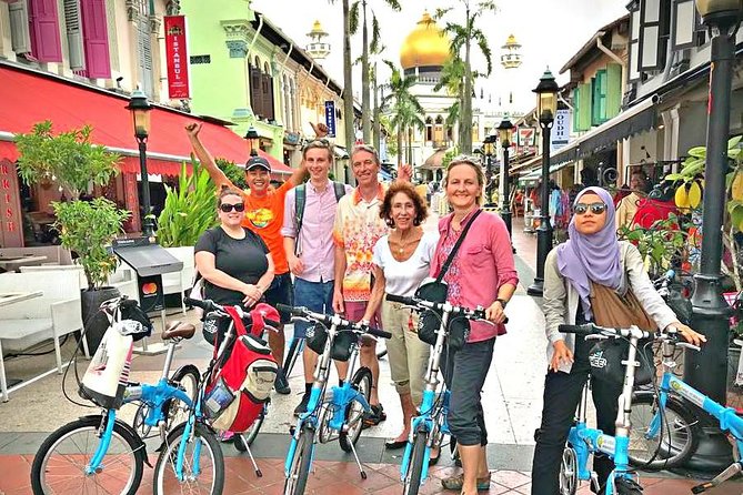 Lion City Bike Tour of Singapore - Little India and a second break