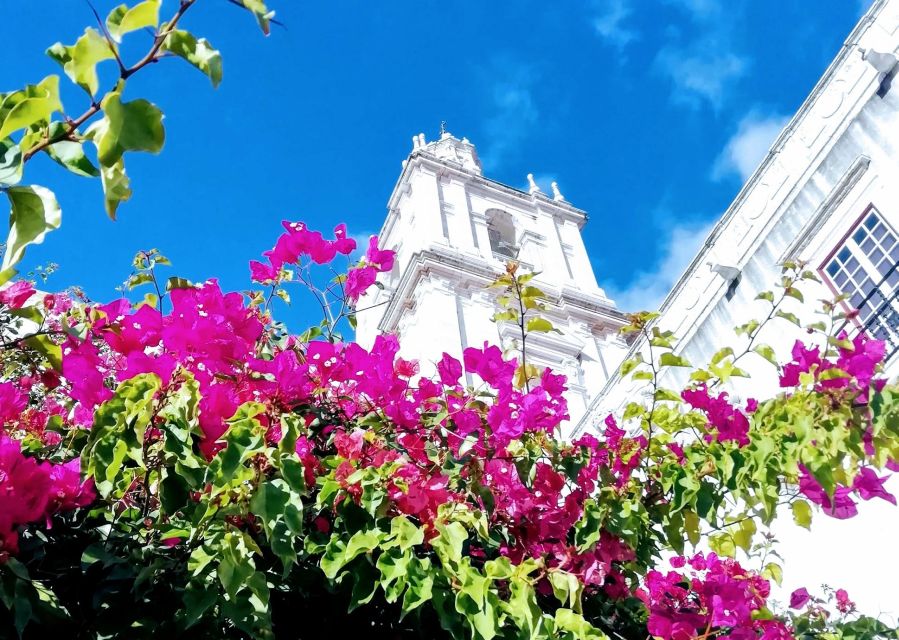 Lisbon: 7 Hills Panoramic Guided Tour by E-Bike - Senhora do Monte and the payoff of the climb