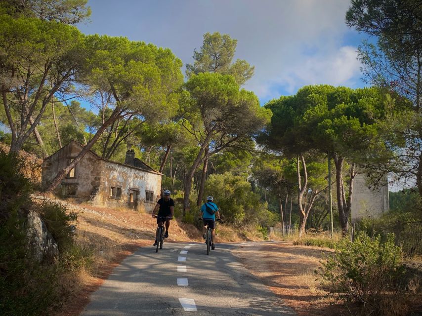 Lisbon: E-bike Trip from the Sintra Mountains to Cascais Sea - Key points to know before booking
