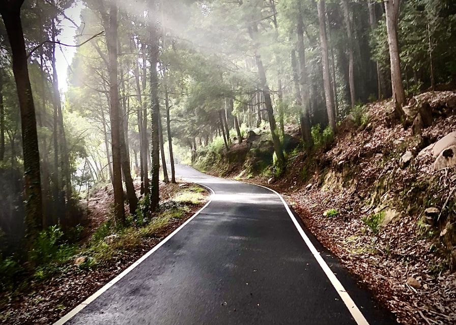 Lisbon: E-bike Trip from the Sintra Mountains to Cascais Sea - The long descent toward Guincho Beach