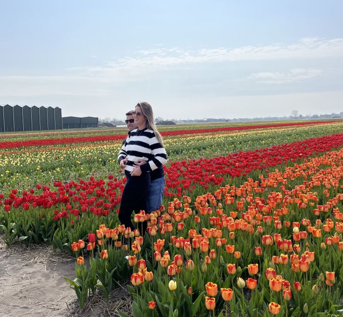 Lisse: Enjoy the Tulip Fields by Bike with a Local Guide! - What the $58 price includes