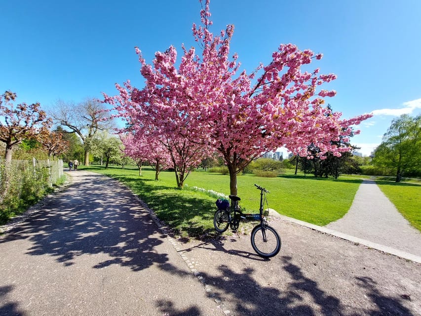 Ljubljana by E-Bike: Guided City Highlights Tour - Who will enjoy this ride most