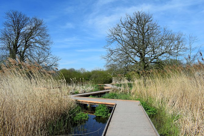 London's Best Kept Secret Bike Tour - Parks, gardens, and a quieter side of London