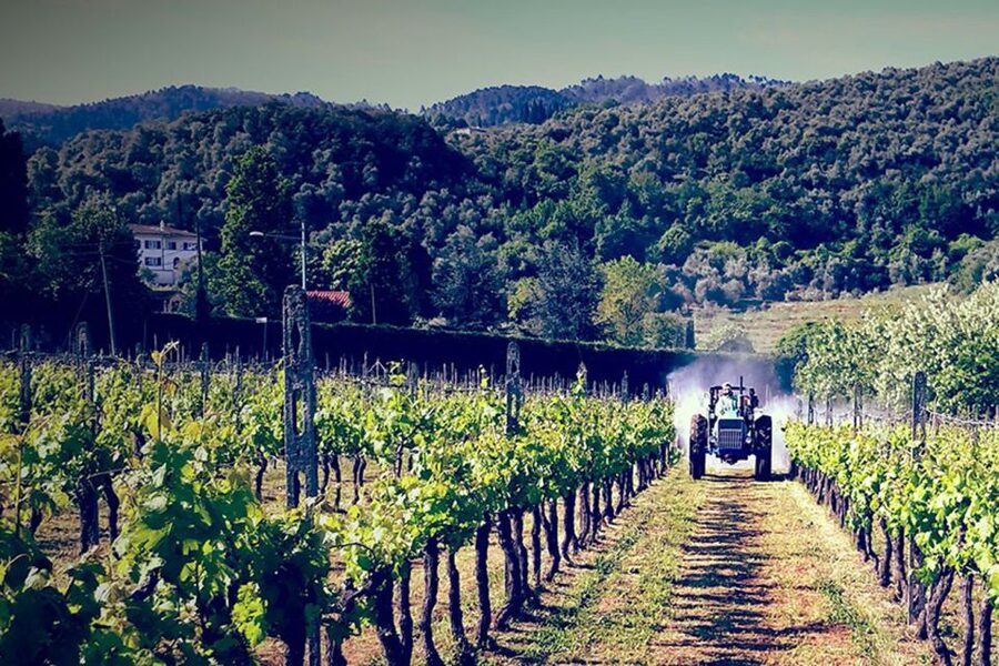 Lucca: Guided E-Bike and Wine Tour - Key points to know before you book